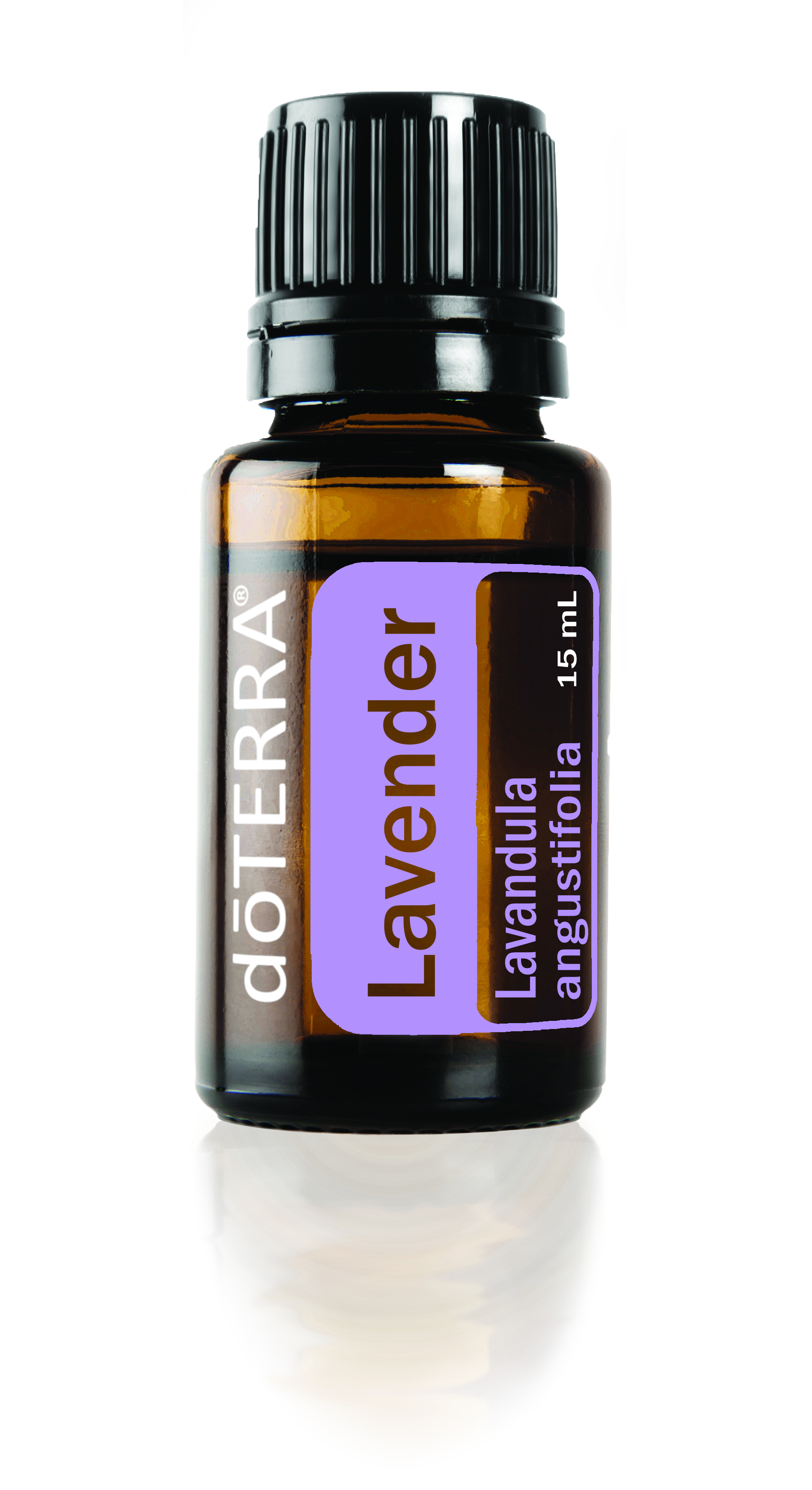 Lavender Essential Oil