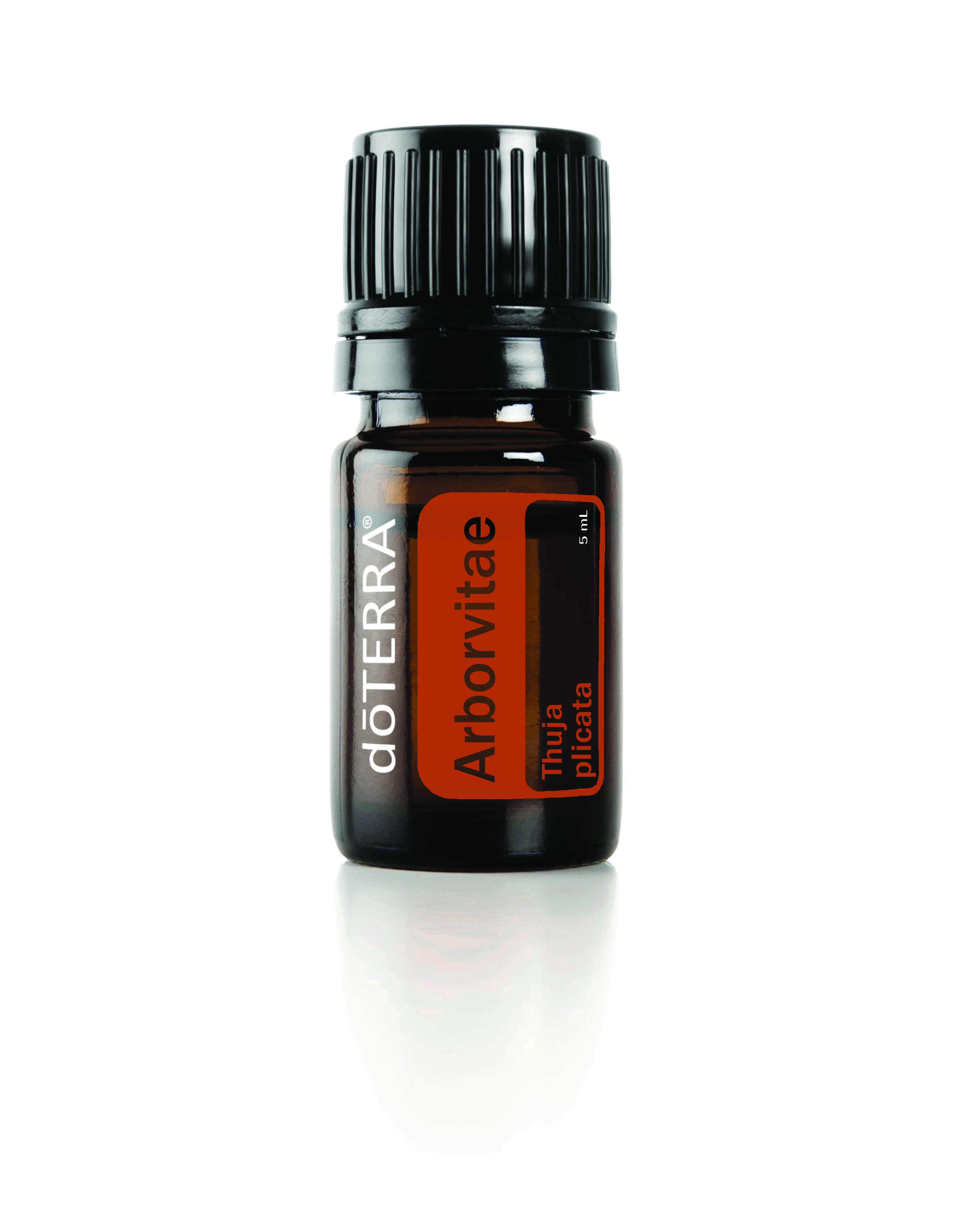 Arborvitae Essential Oil