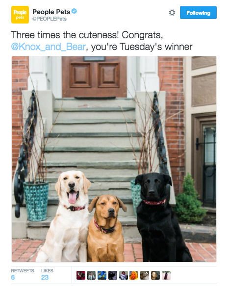 People Magazine's Pet Twitter