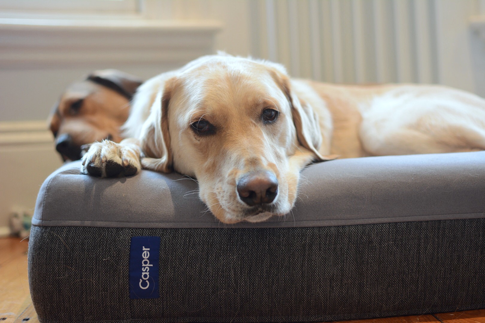 Always cozy!