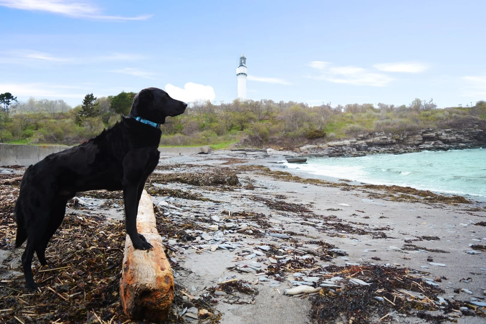 Cape Elizabeth Weekend Getaway! 