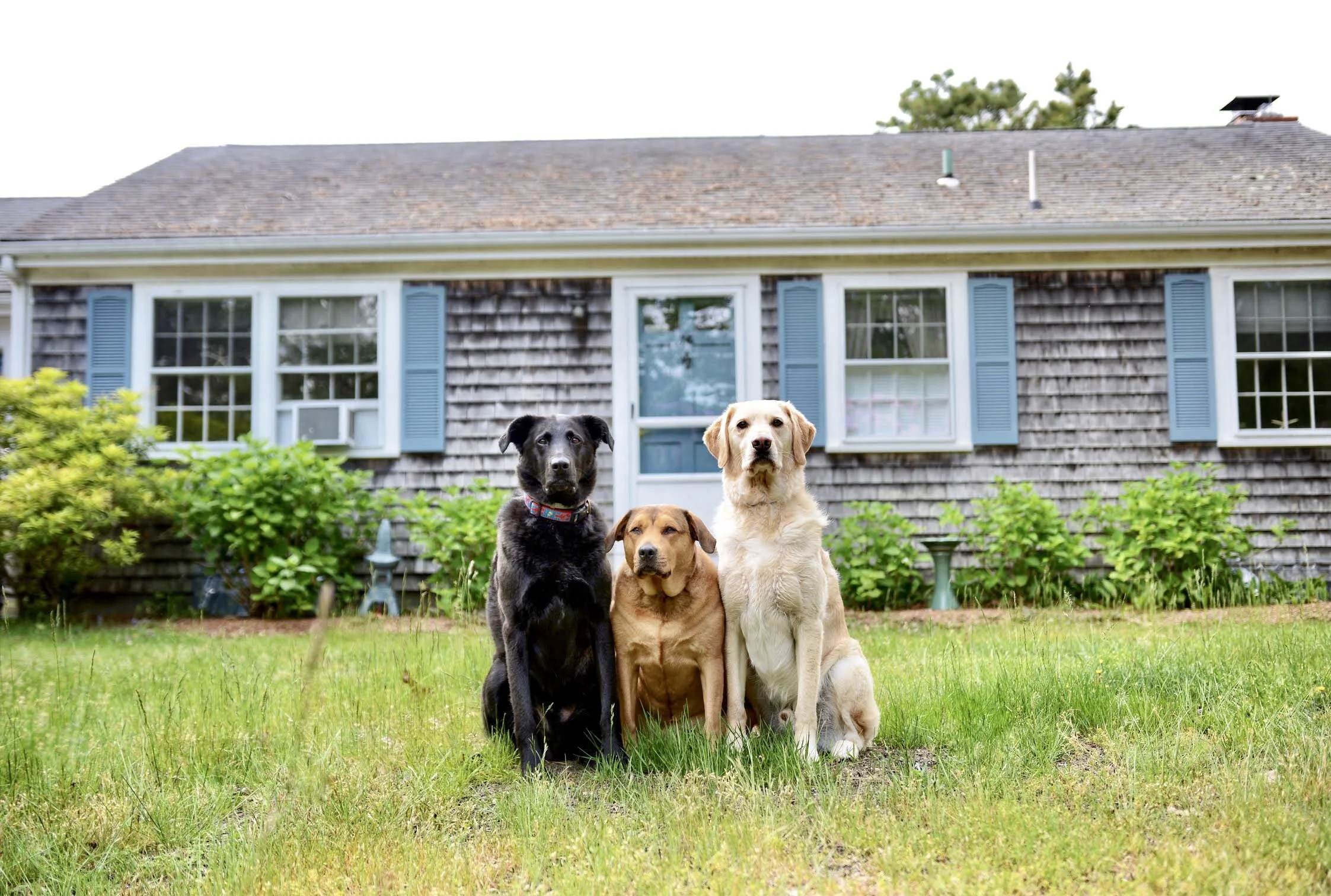 Swimmer's Haven on Sheep Pond
