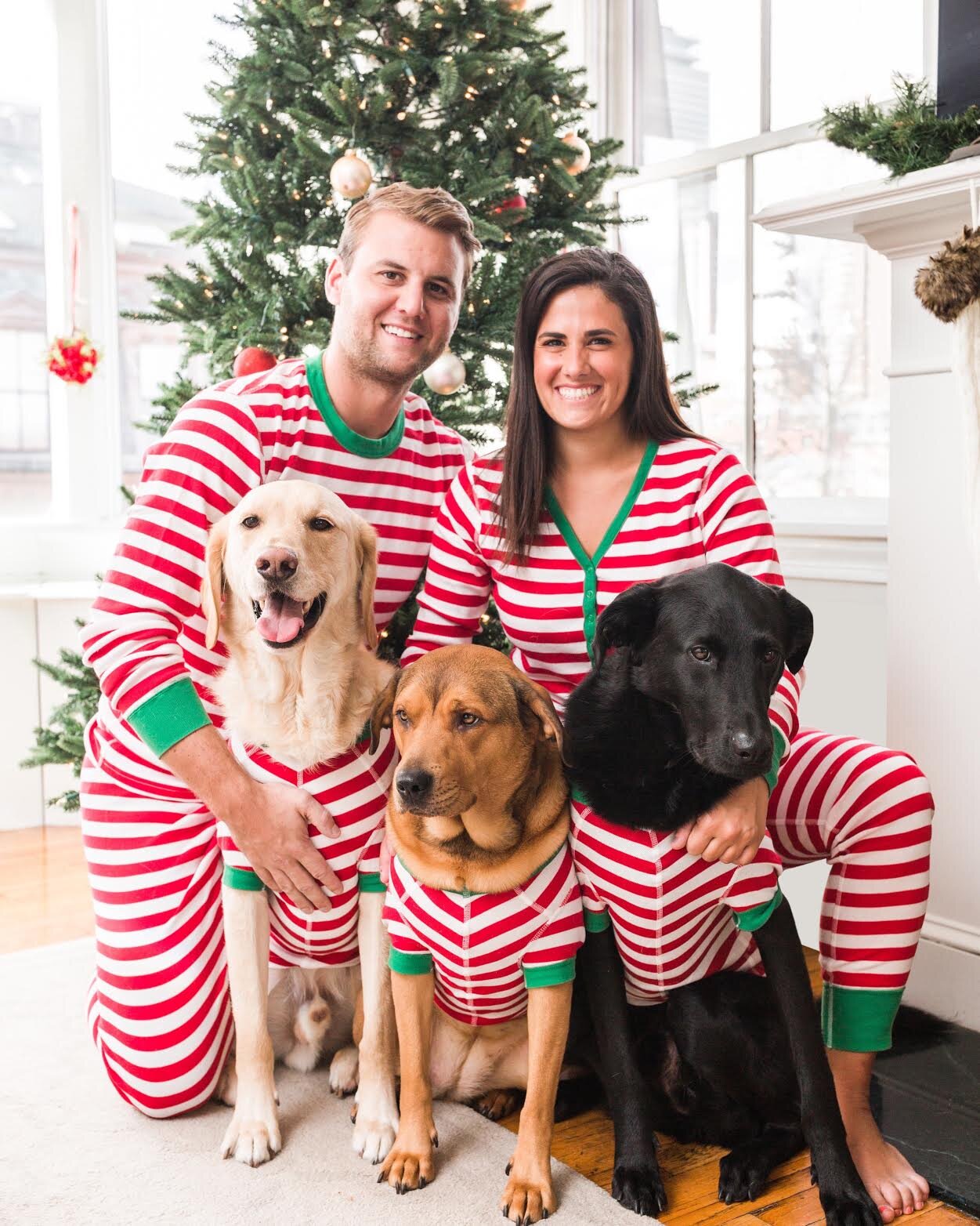 Matching Dog and Dog Owner Holiday Pajama Guide! 