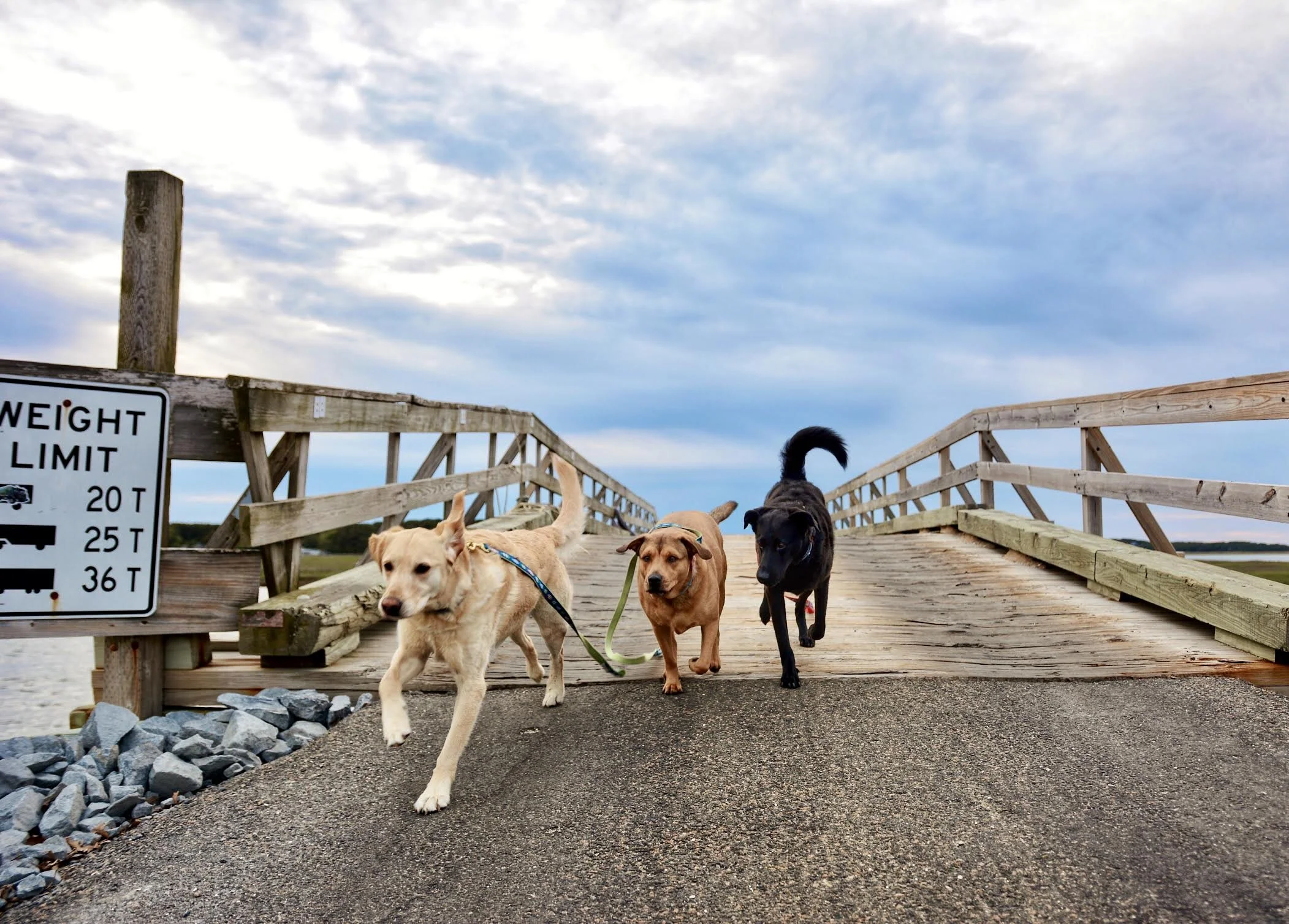 Bridge (1).jpeg