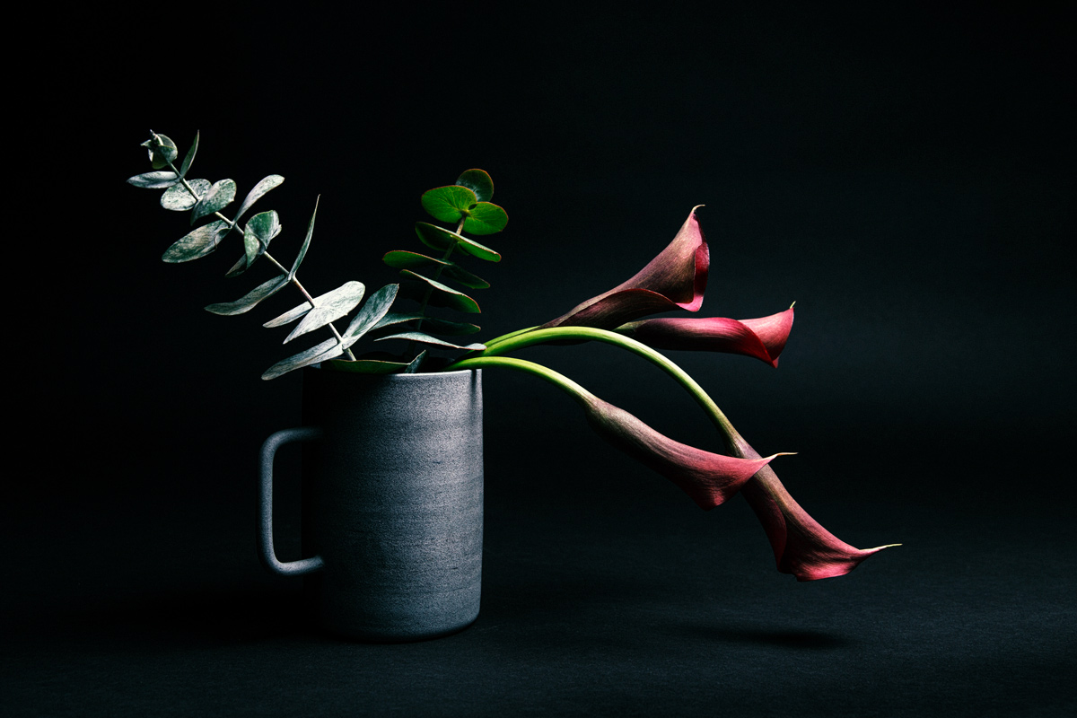 Stillife-Cala-lilly.jpg