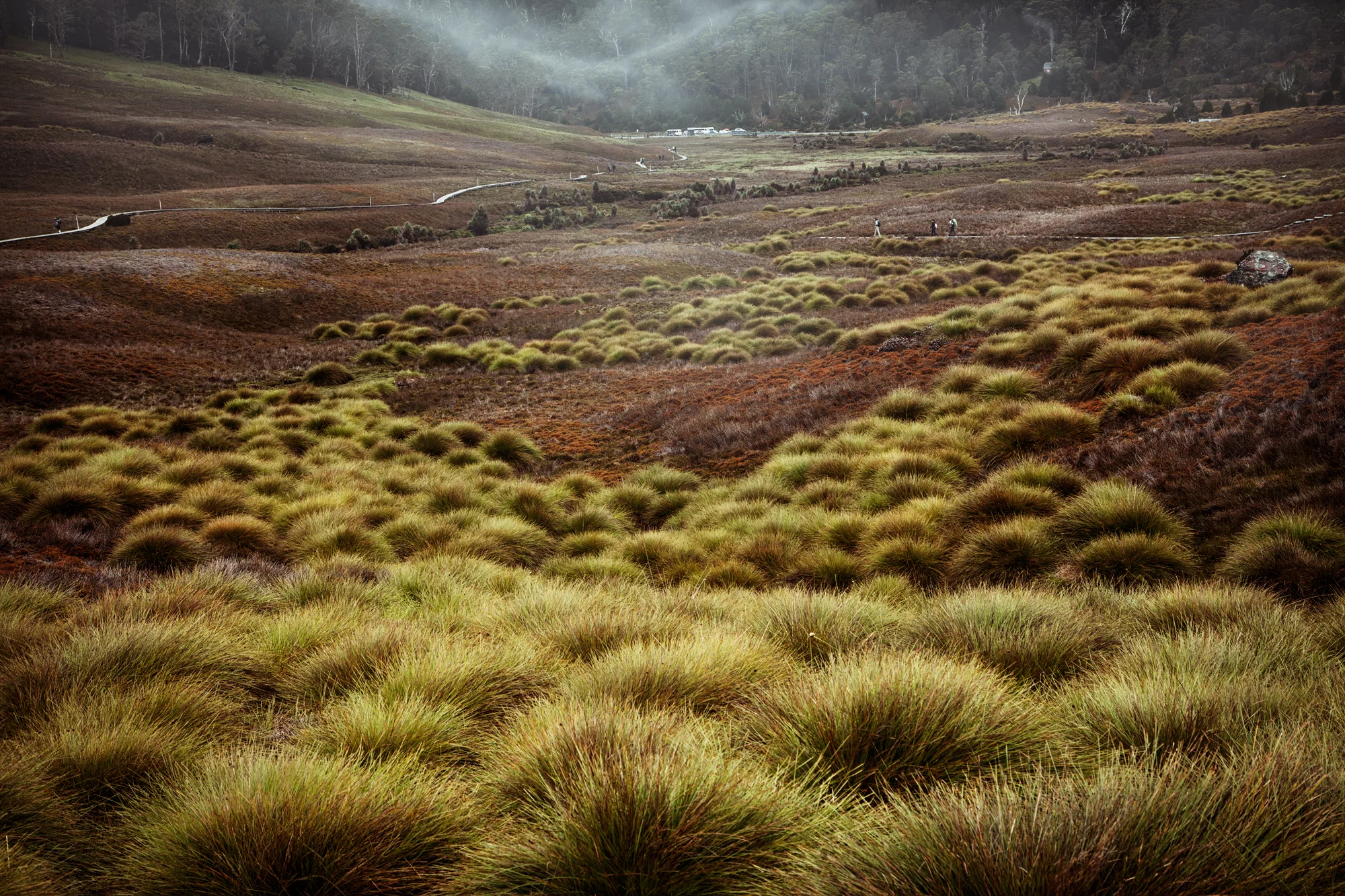 danny-Wootton-photographer-Tasmania-Cradle-Mountain_1.jpg