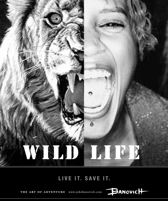 banovich_wildlife_2-1.jpg