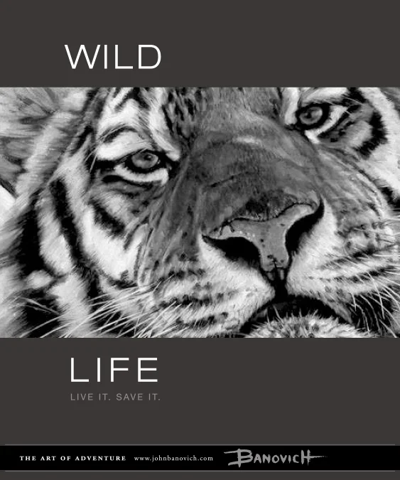 banovich_wildlife_2-3.jpg
