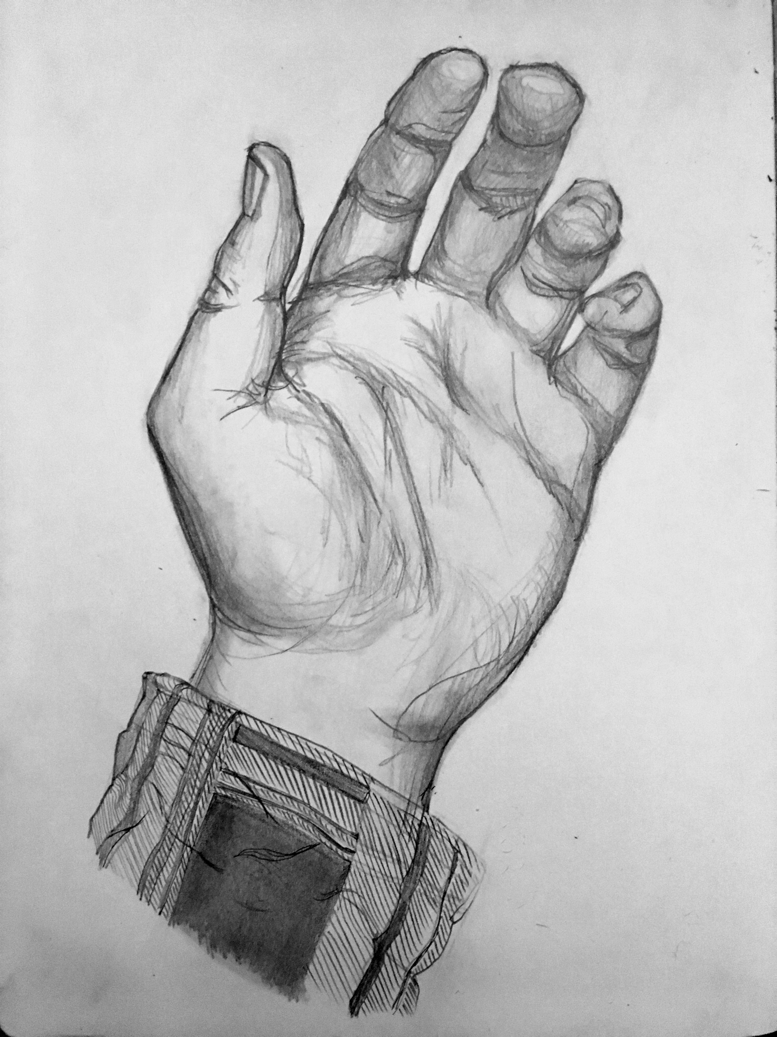 Graphite drawing of my left hand