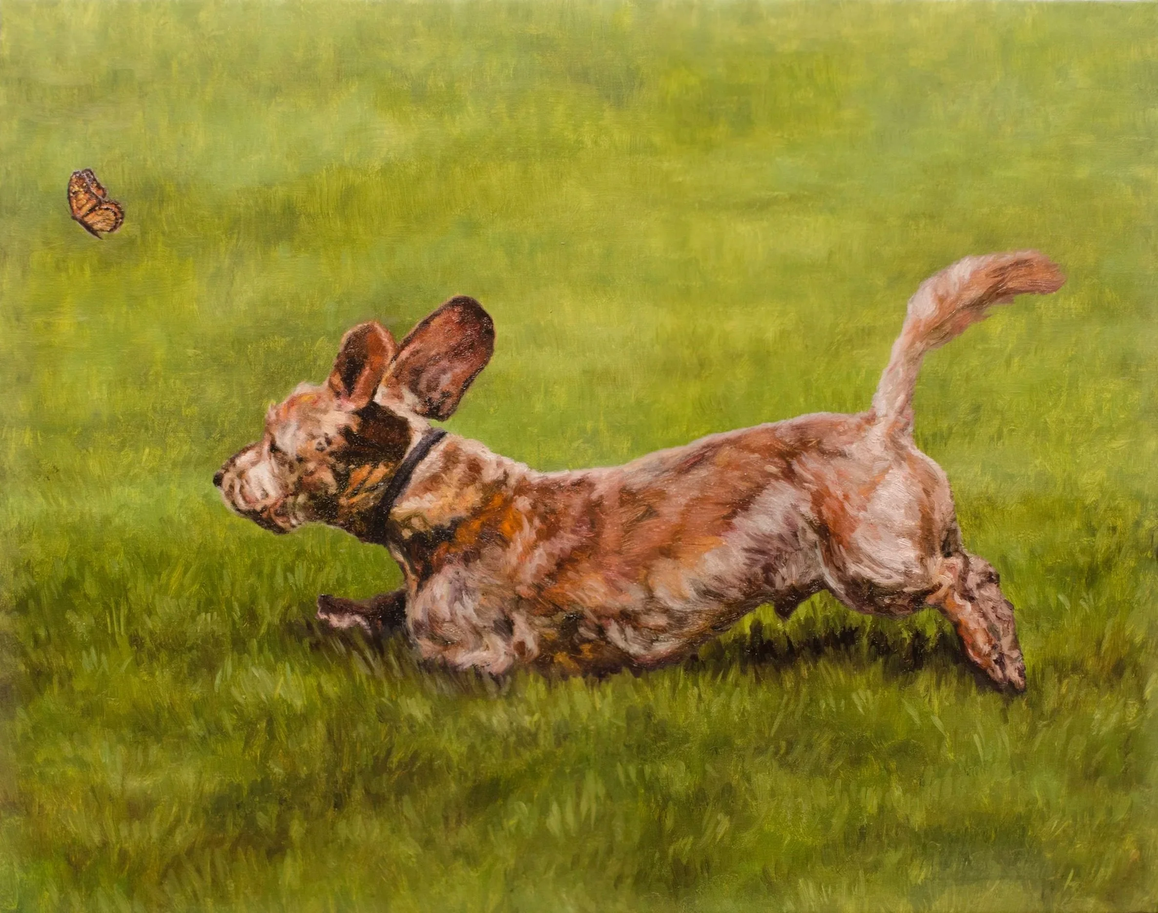 A custom oil portrait of a wire haired Dachshund frolicking through a field, chasing a butterfly.   
