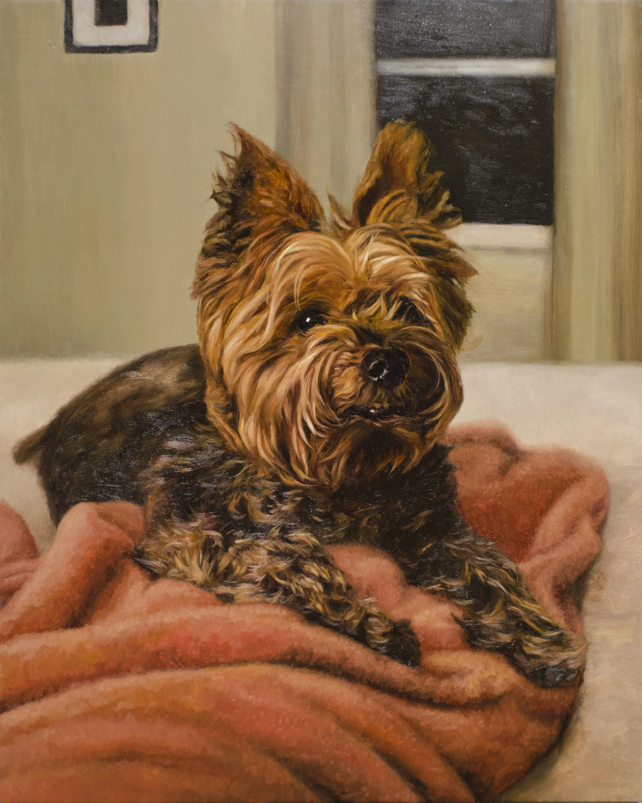 commissioned-dog-portrait-custmo-pet-oil-painting-yorkie.jpg