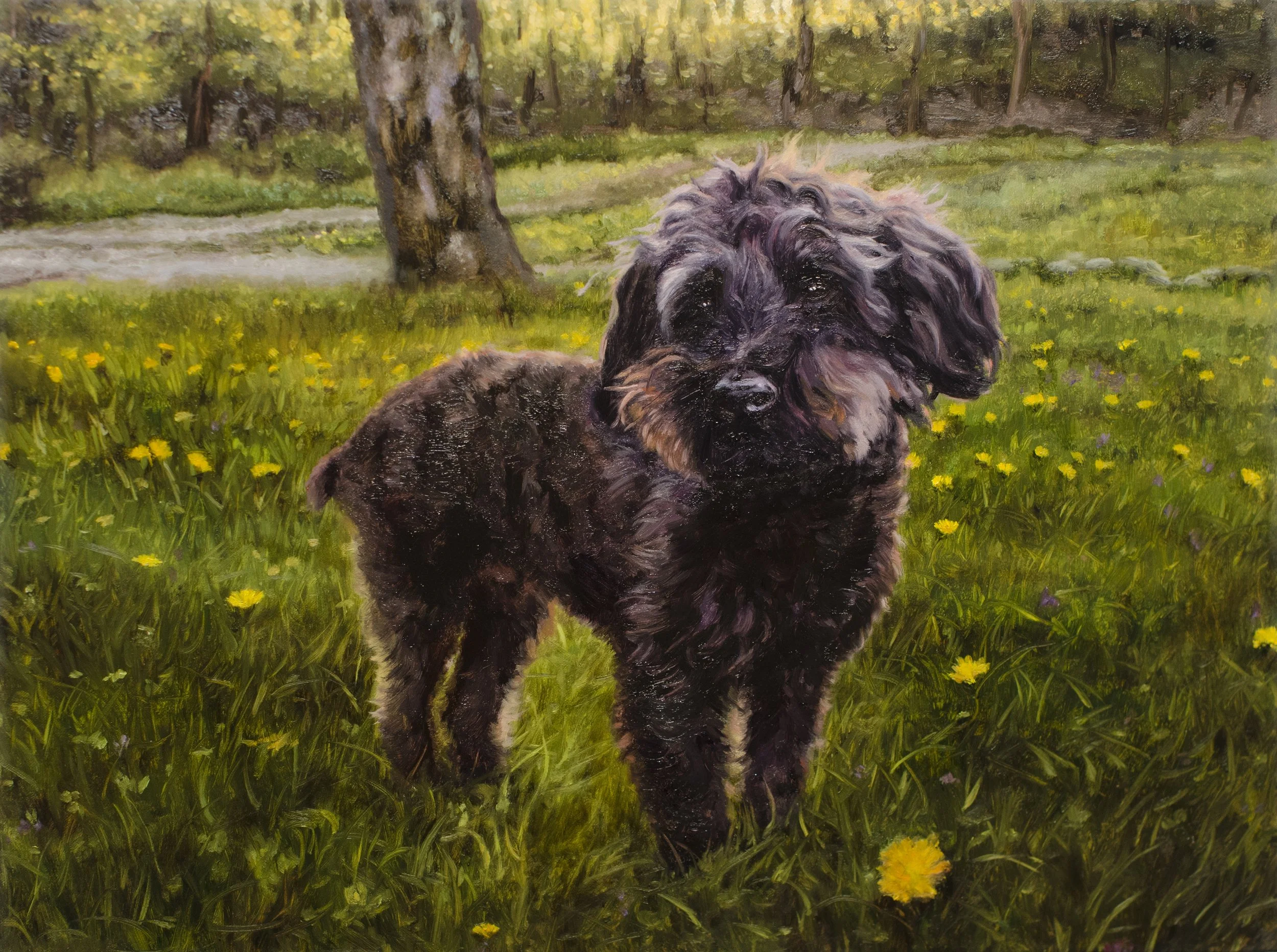 Custom oil painting of a small, curly-haired black dog stand backlit in a field filled with flowers.