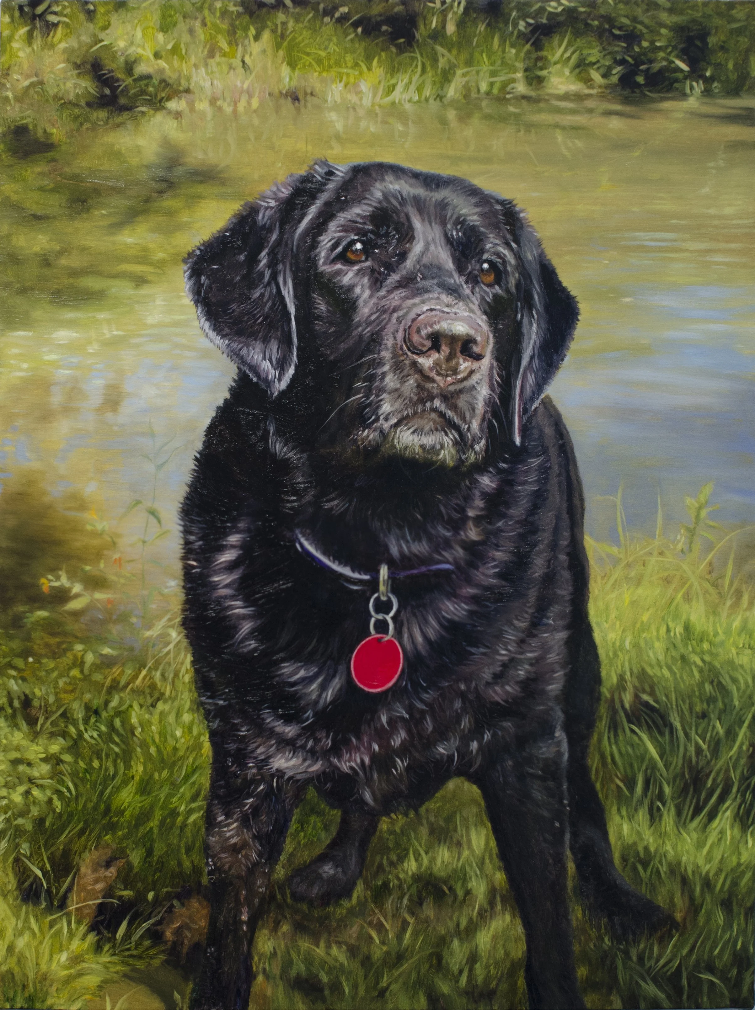 custom-oil-painting-black-lab-commission-pet-portrait-Peppy-varnished.jpg