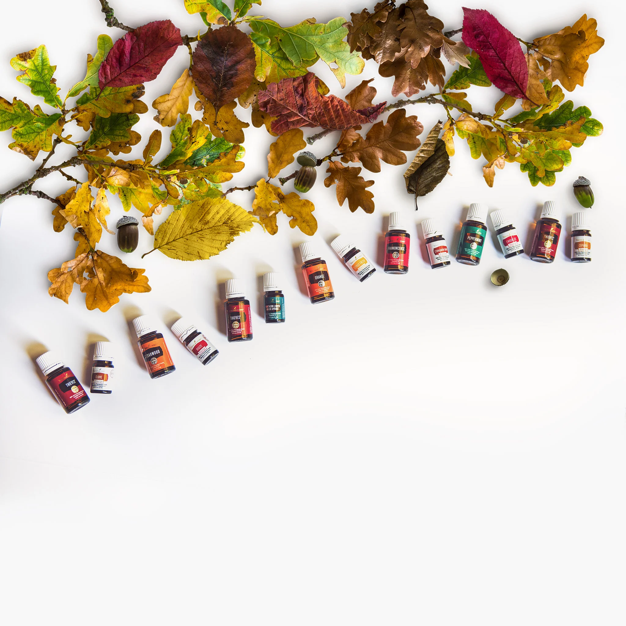 Essential oil make and take party