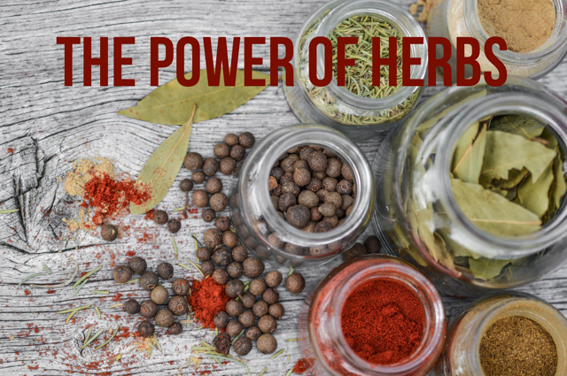 The power of herbs 