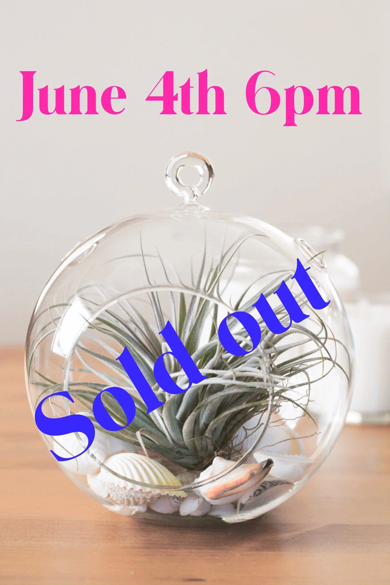 Succulent make and take event 