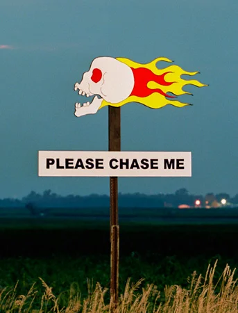 pleasechaseme_detail.jpg