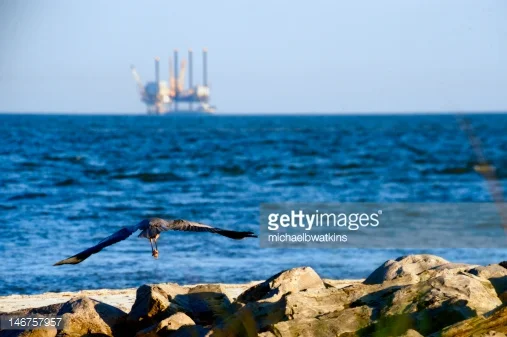 The Current Poor Political Climate And Its Potential Impact On OPA 90 Responder Immunity