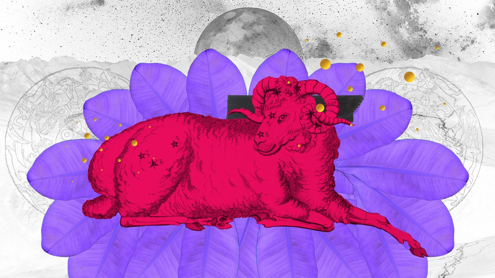 00725_CBCLife_1.Aries_v4.jpg