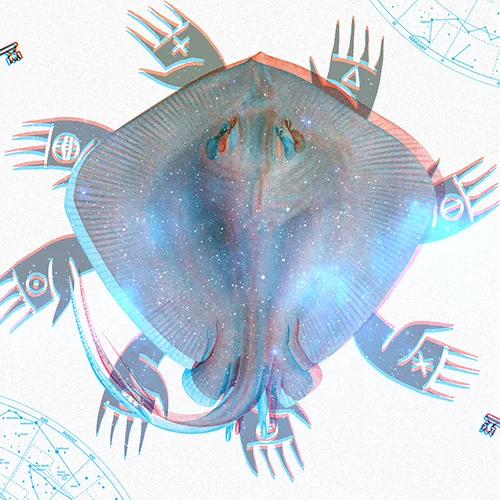 _Cover.jpg