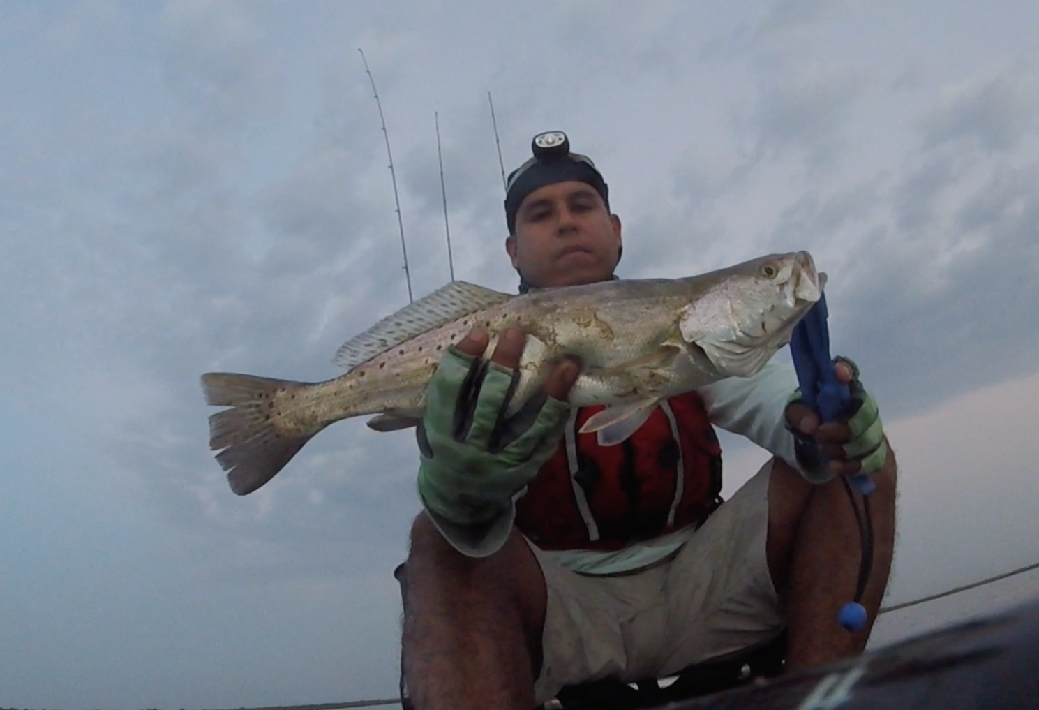 18" CPR speckled trout