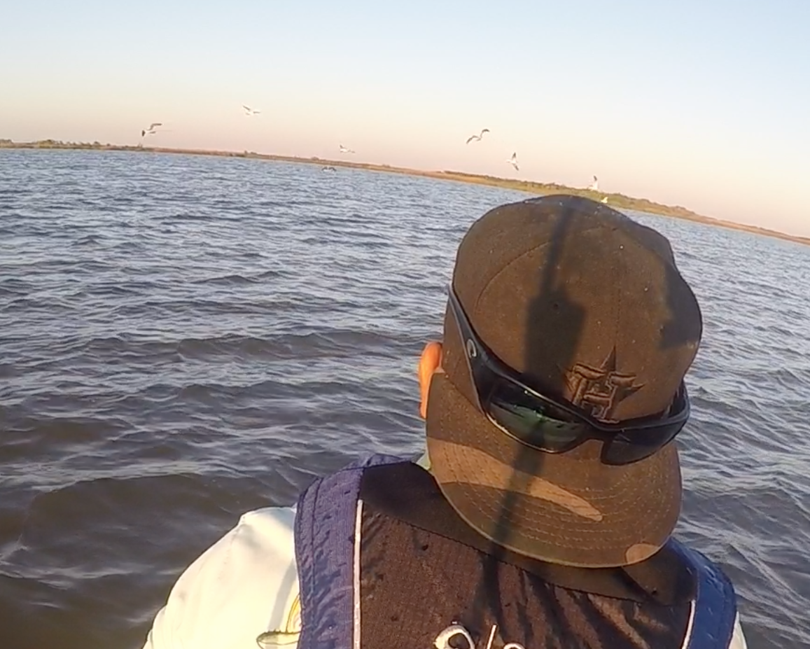Birds working a redfish school off in the distance