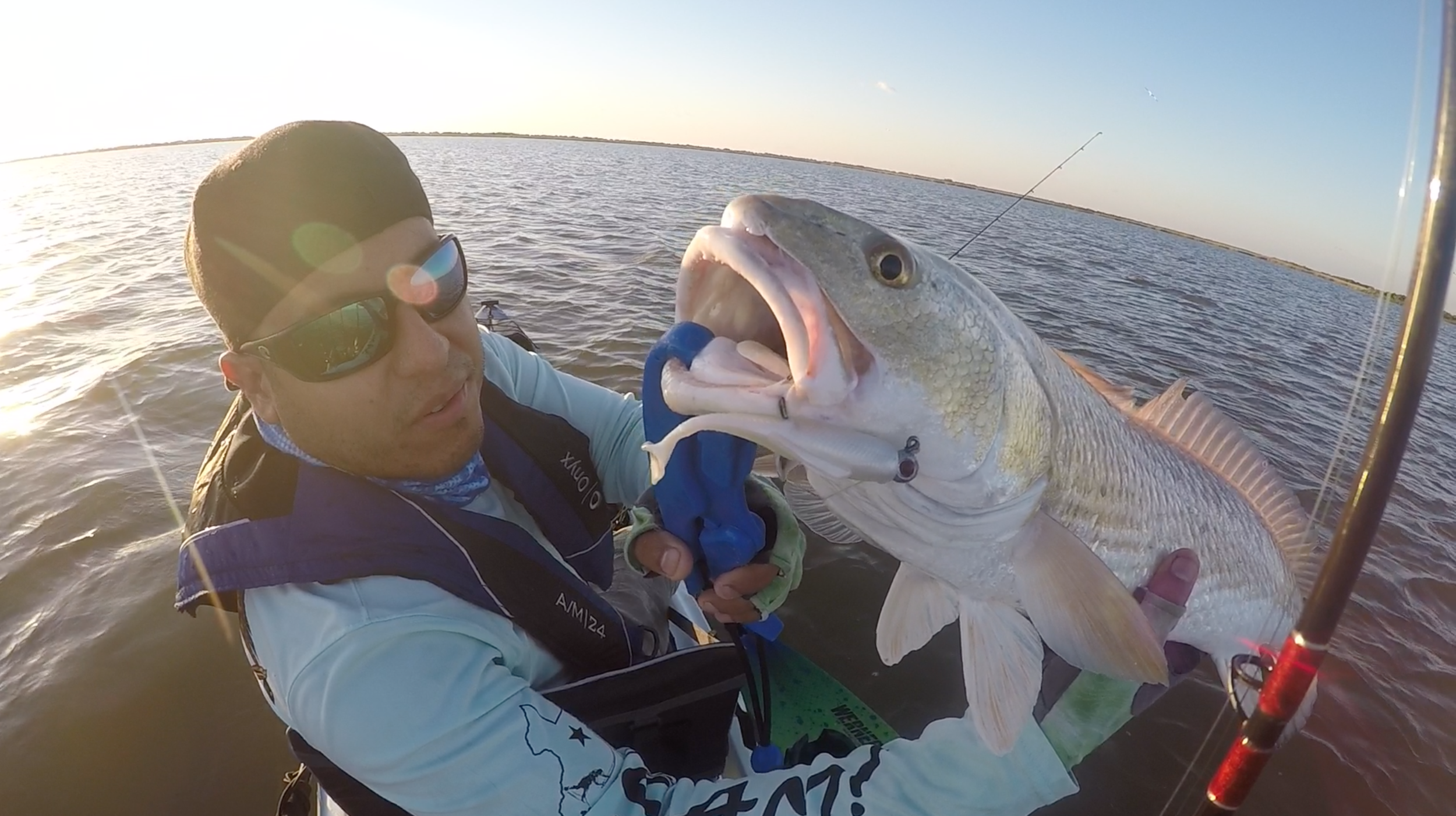 24" redfish caught on Z-Man MinnowZ