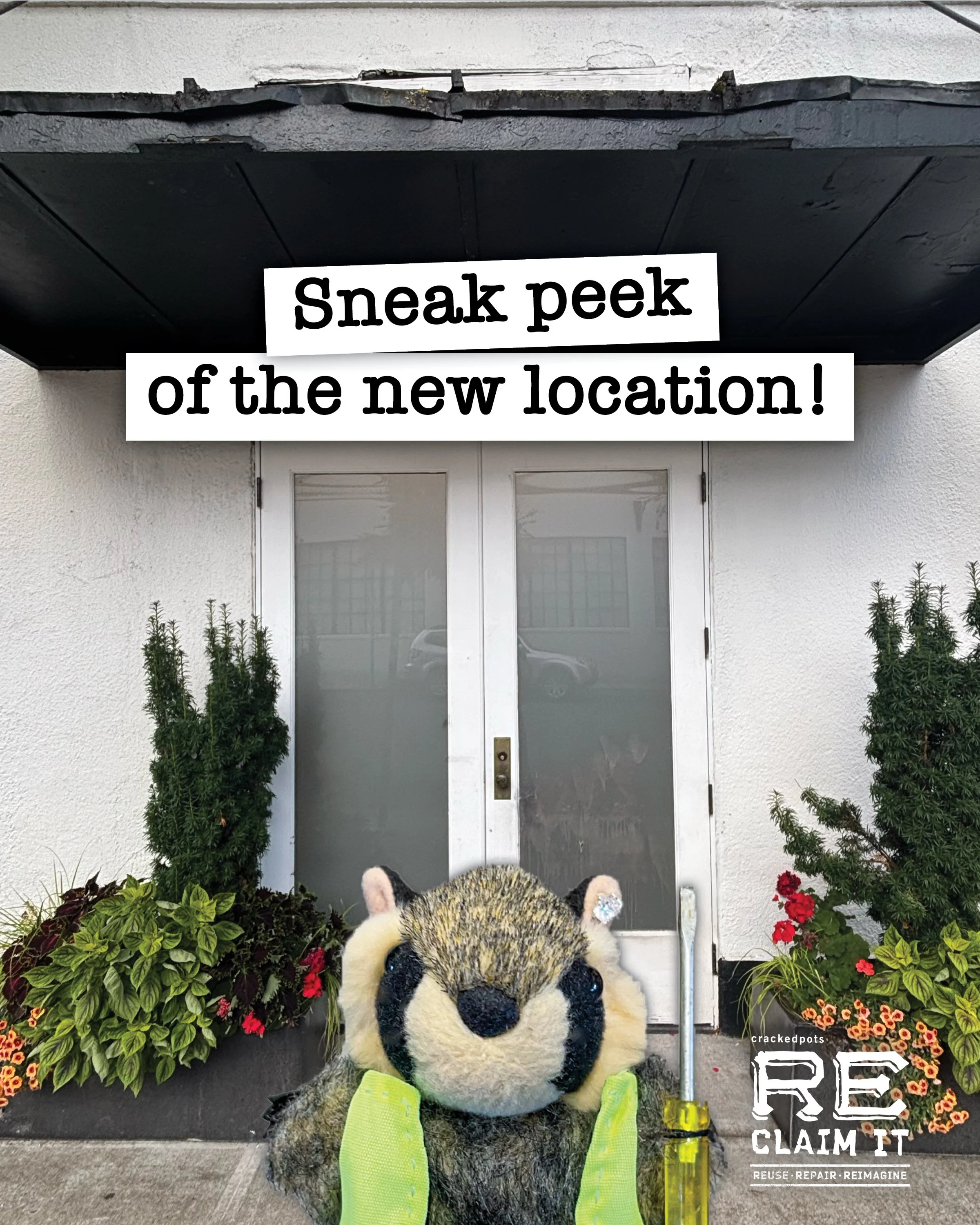 202609peek.jpg