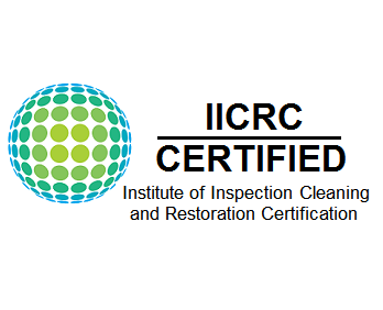 IICRC Certified emblem with a globe design and text for the Institute of Inspection Cleaning and Restoration Certification.