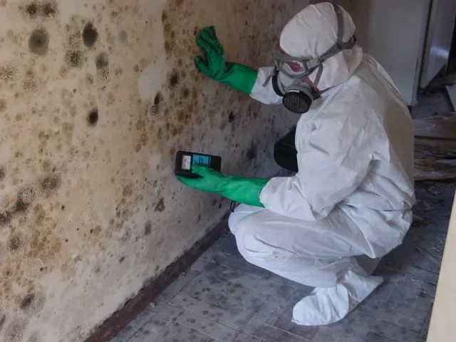 A person wearing protective white coveralls, a mask, goggles, and green gloves inspecting mold on a wall in a room.