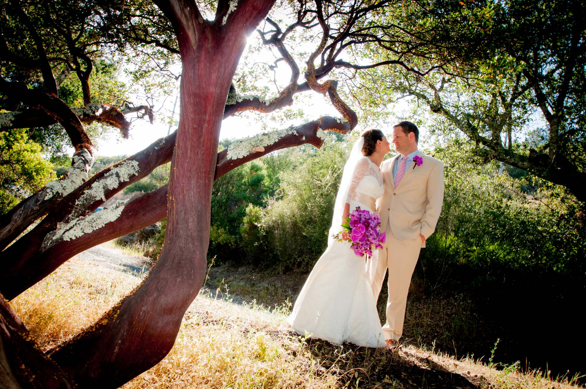 Hans Fahden Winery | Calistoga, California
