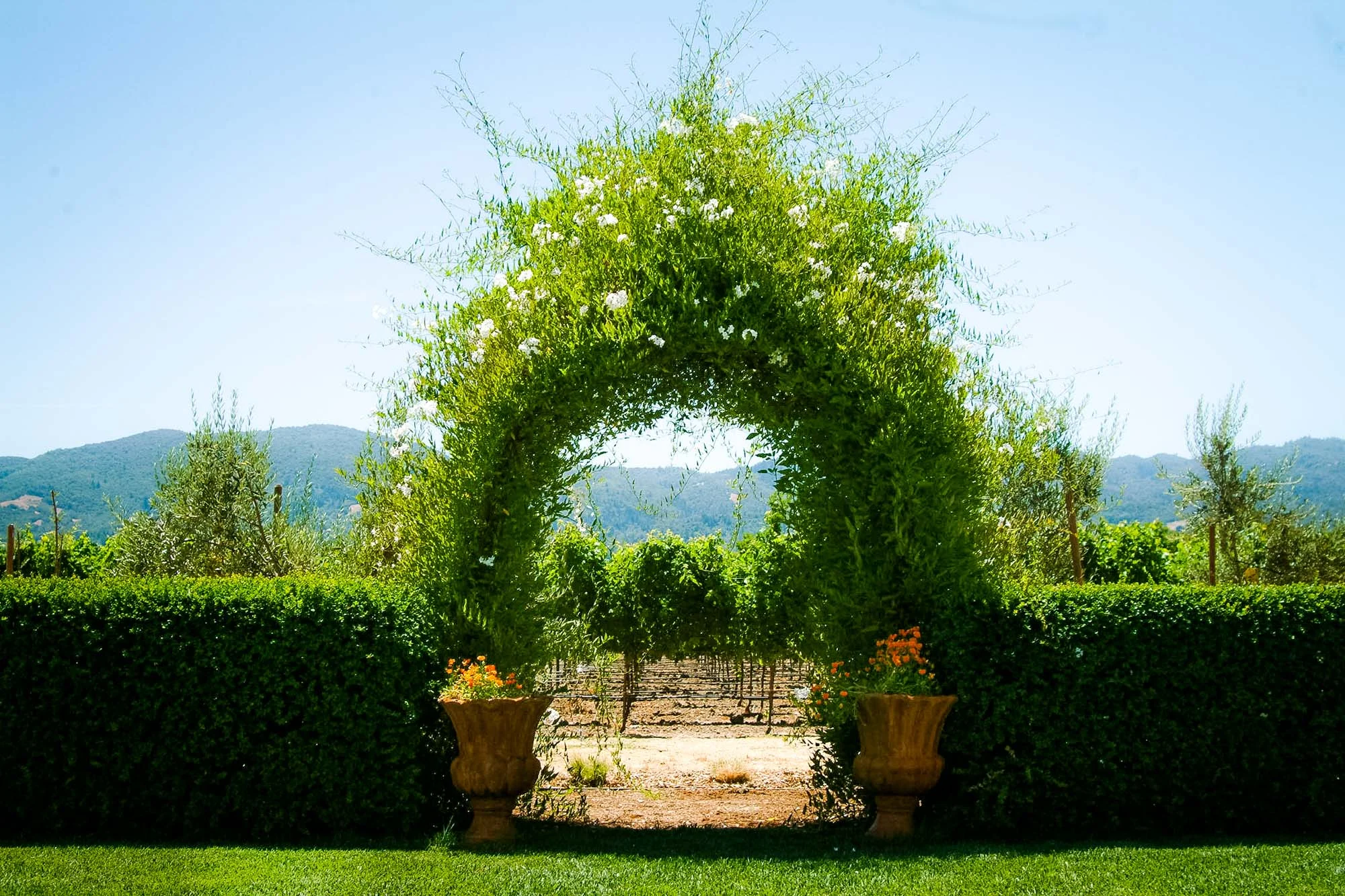 Private Residence | Napa Valley, California