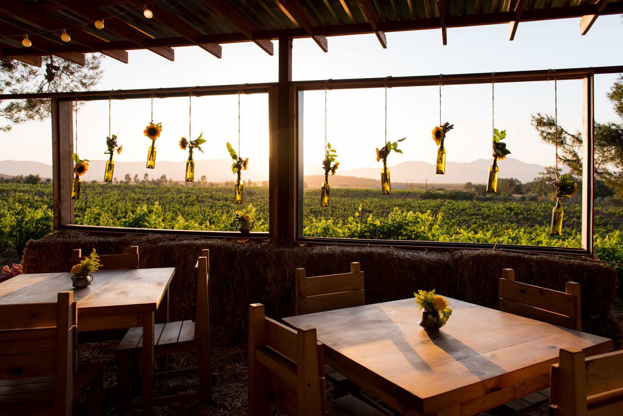 Deckman’s at Magor | Valle de Guadalupe, Baja, Mexico