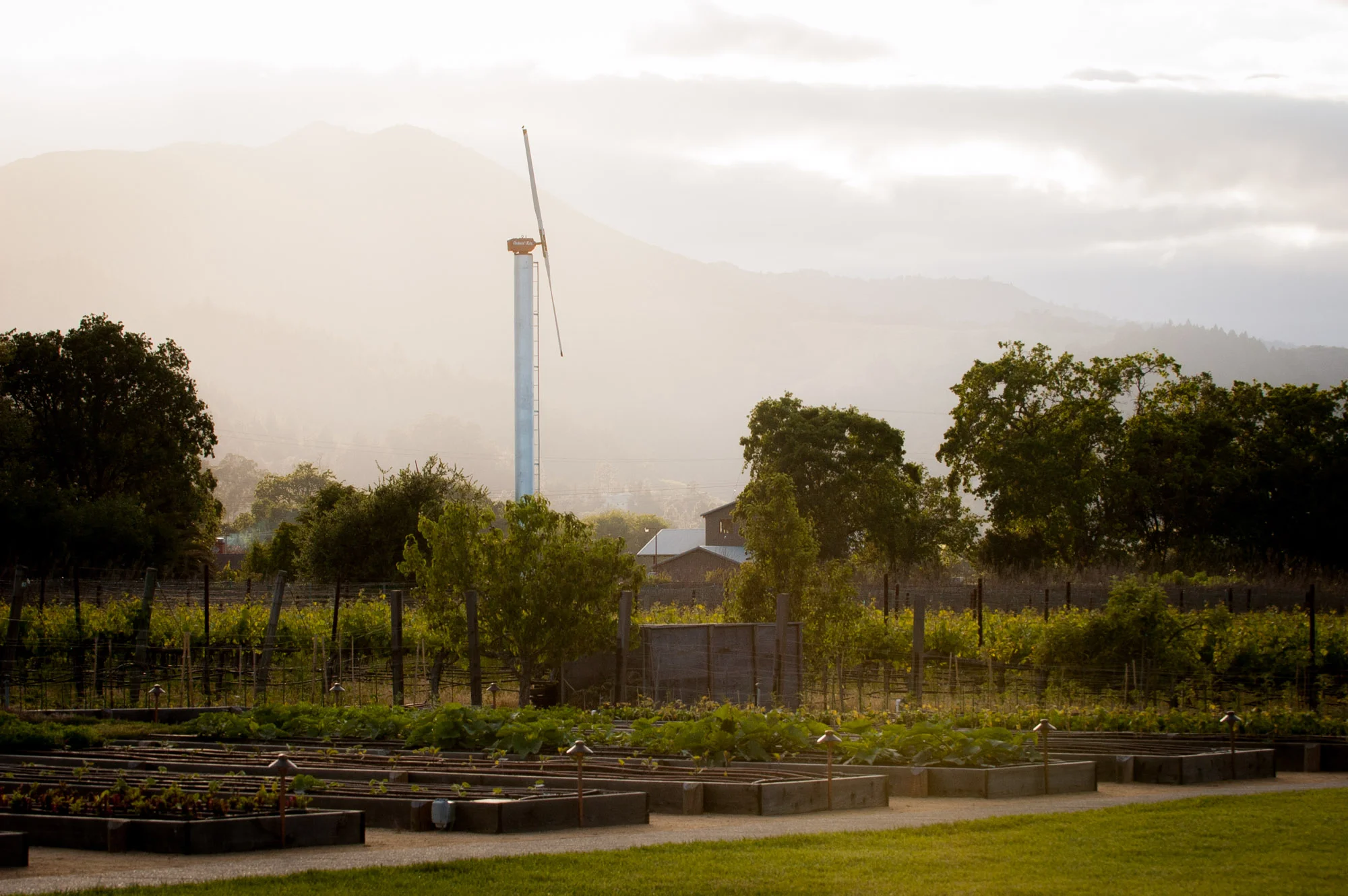 Brix Restaurant Gardens | Yountville, California