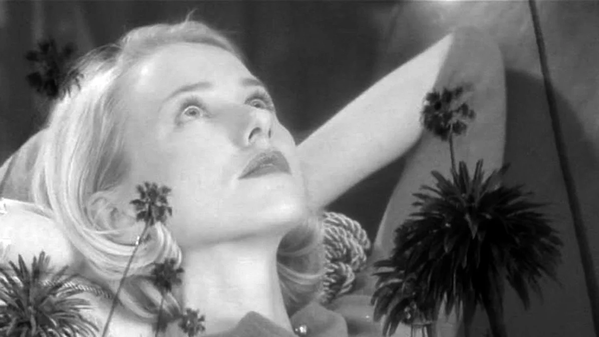 mulhollanddrive2.jpg