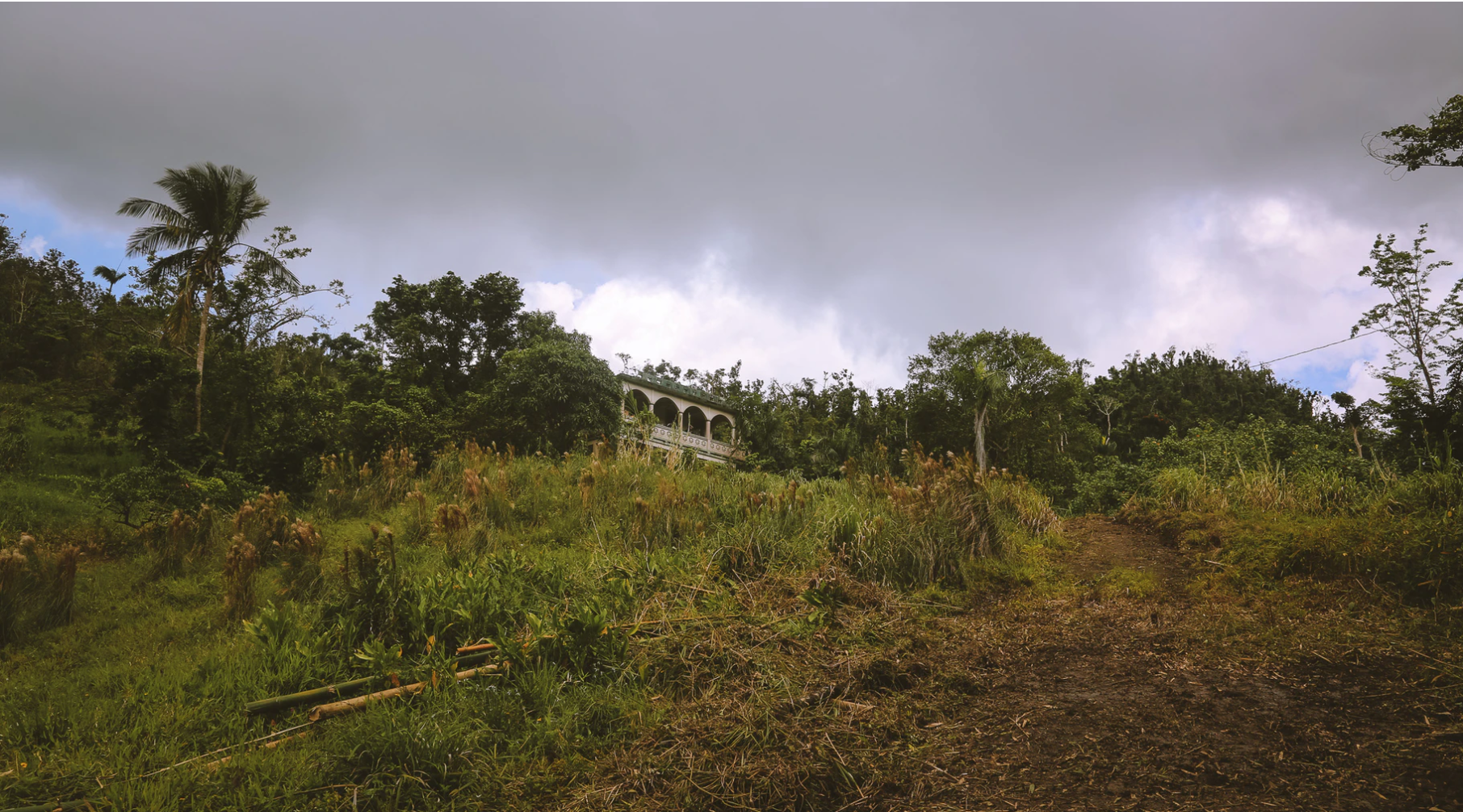 Que No Se Pierda La Semilla