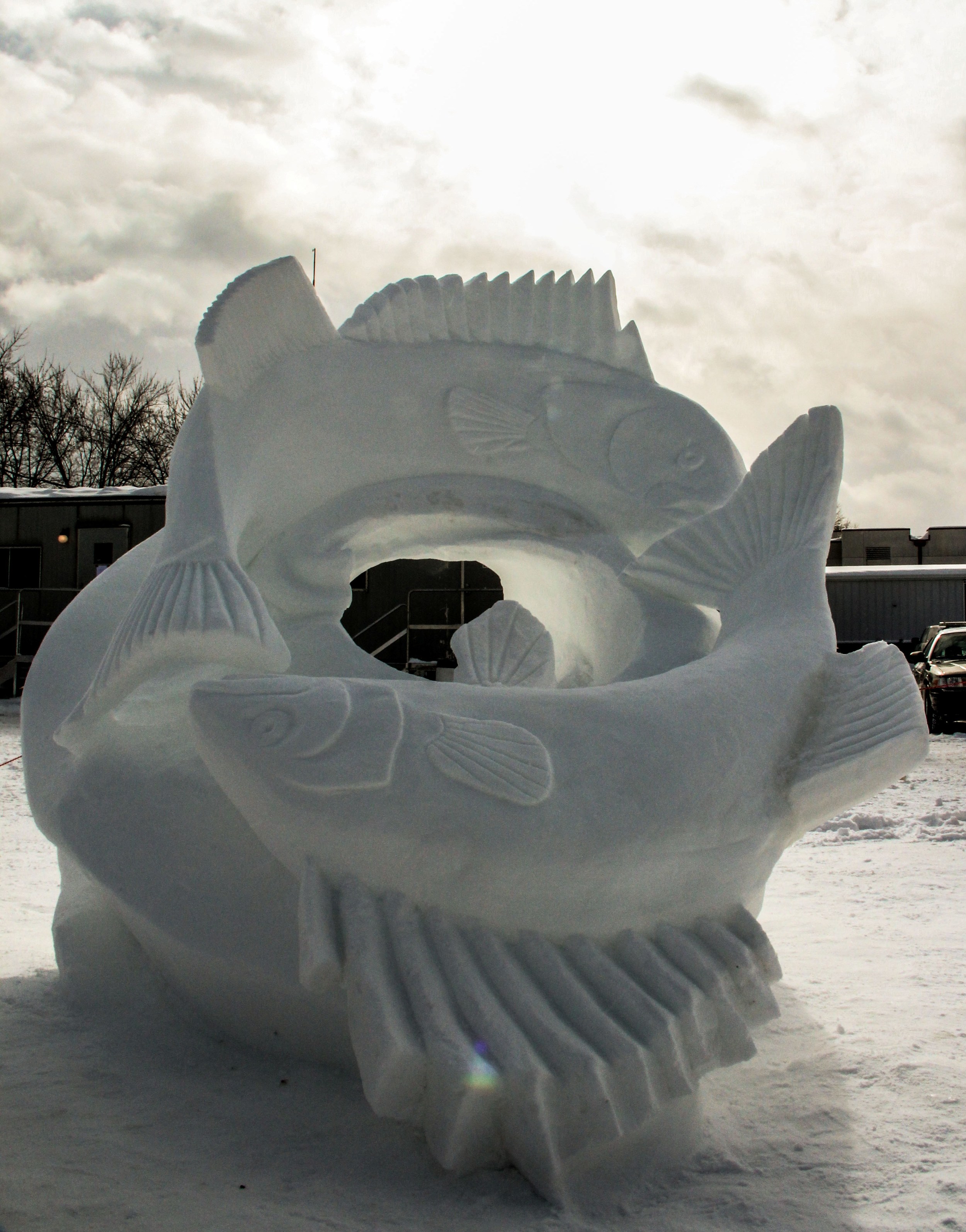   Mobius Fish   8'x8'x8'  Snow Sculpture  St. Paul Winter Carnival&nbsp;  2014 