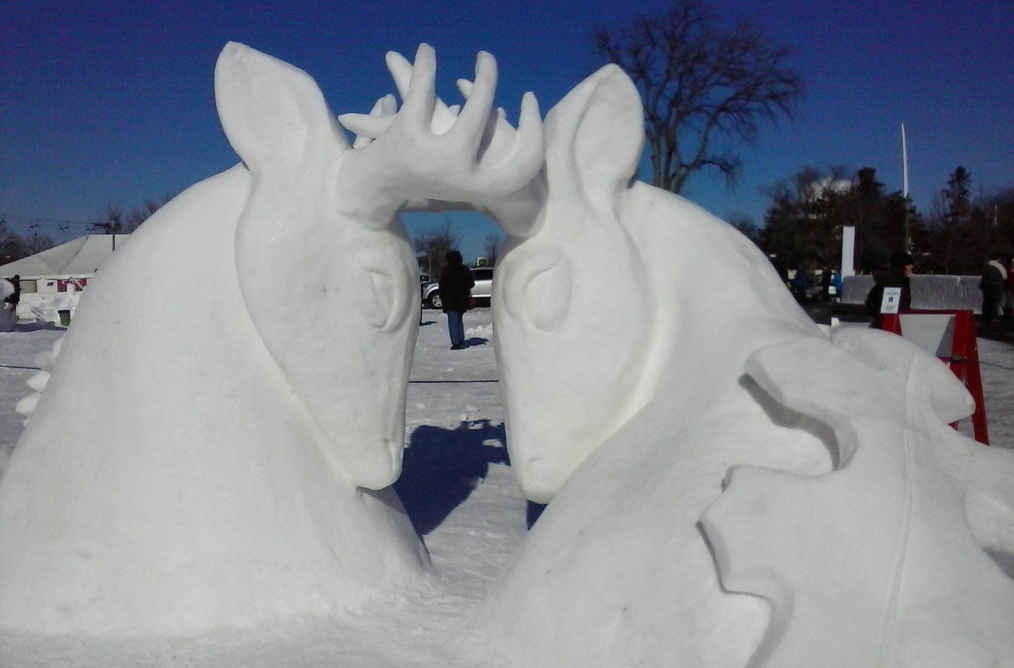  Two Bucks Fighting   10'x8'x10'  Snow Sculpture  St. Paul Winter Carnival  2015 