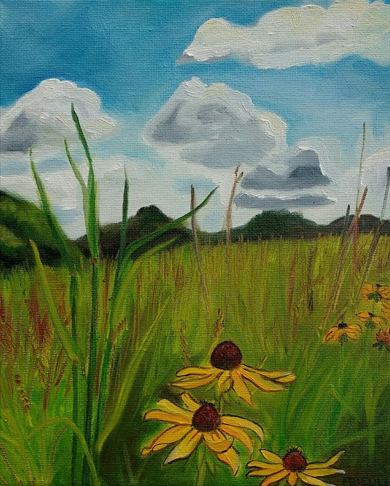 "Prairie and Sky"