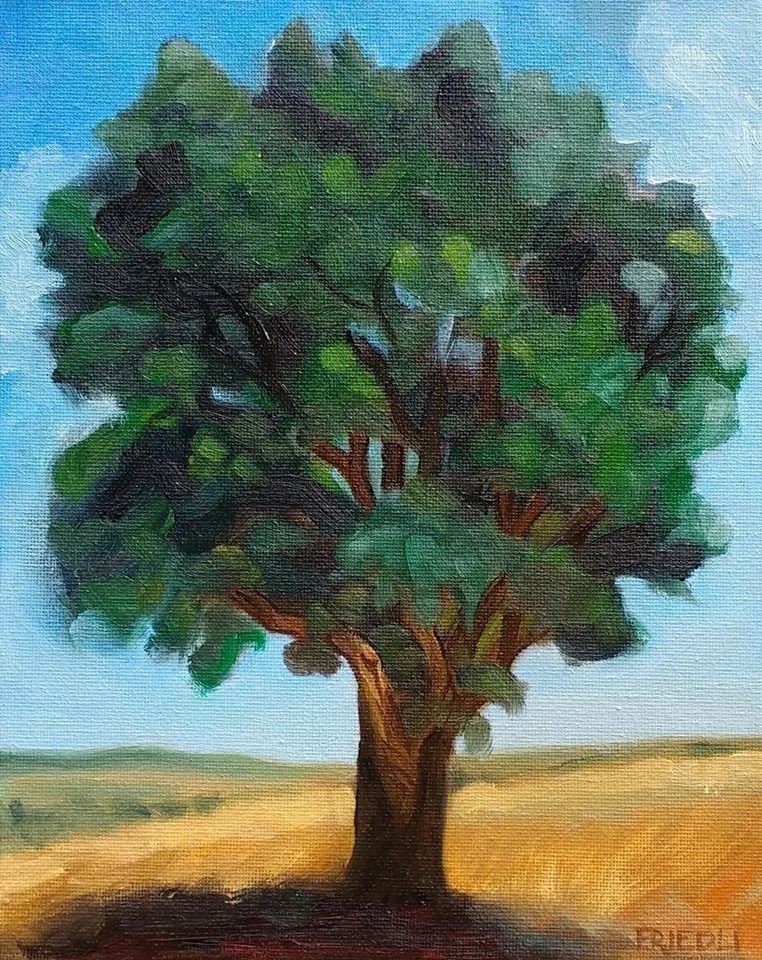 "White Oak in Savannah"