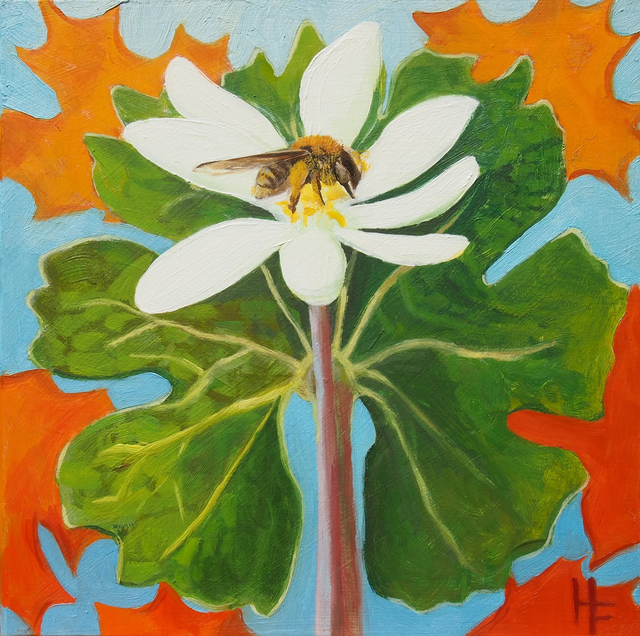"Bloodroot and Miner Bee"