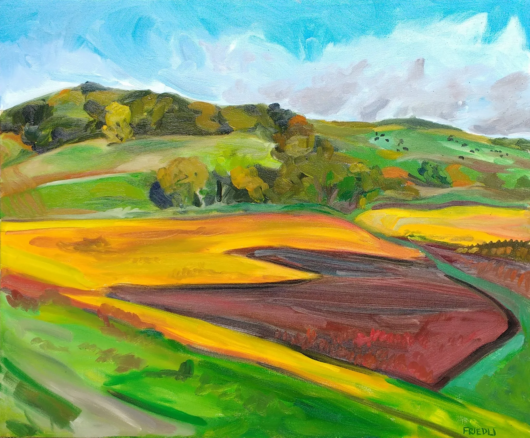 "Sogn Valley Morning"