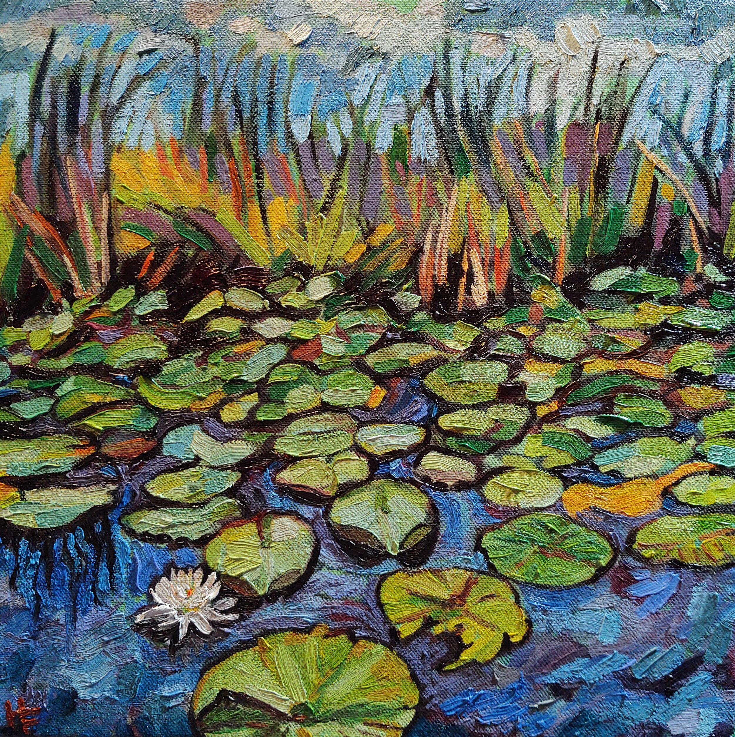 Water Lilies