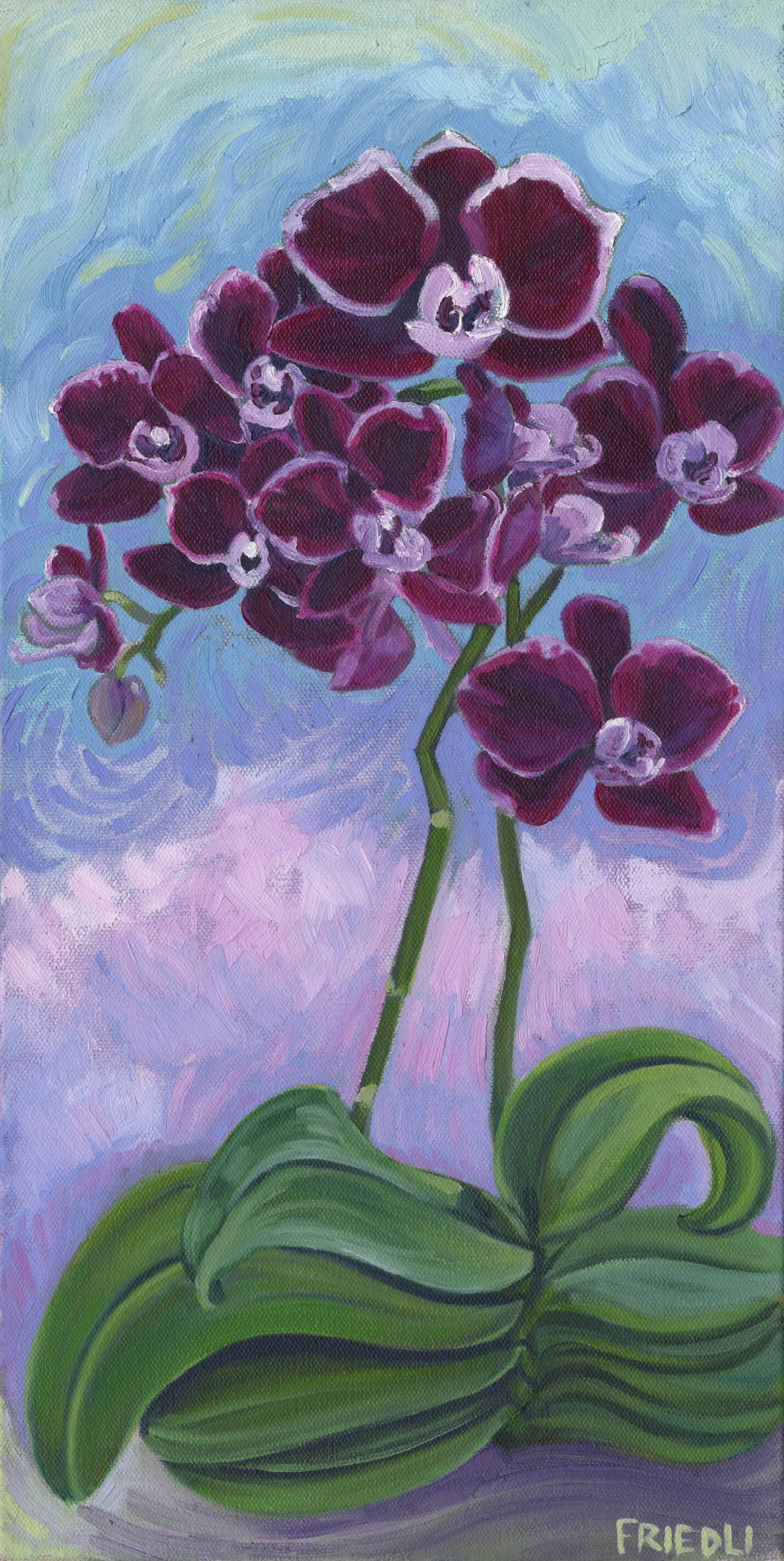 Purple and Orchids