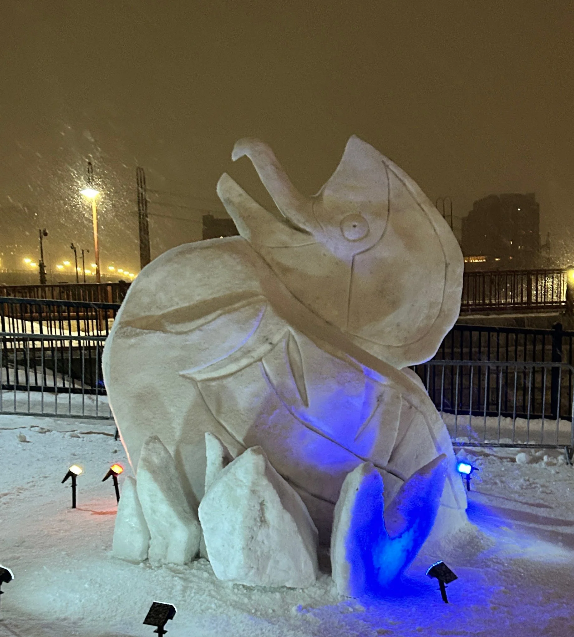 Merganser Singing Forth Spring