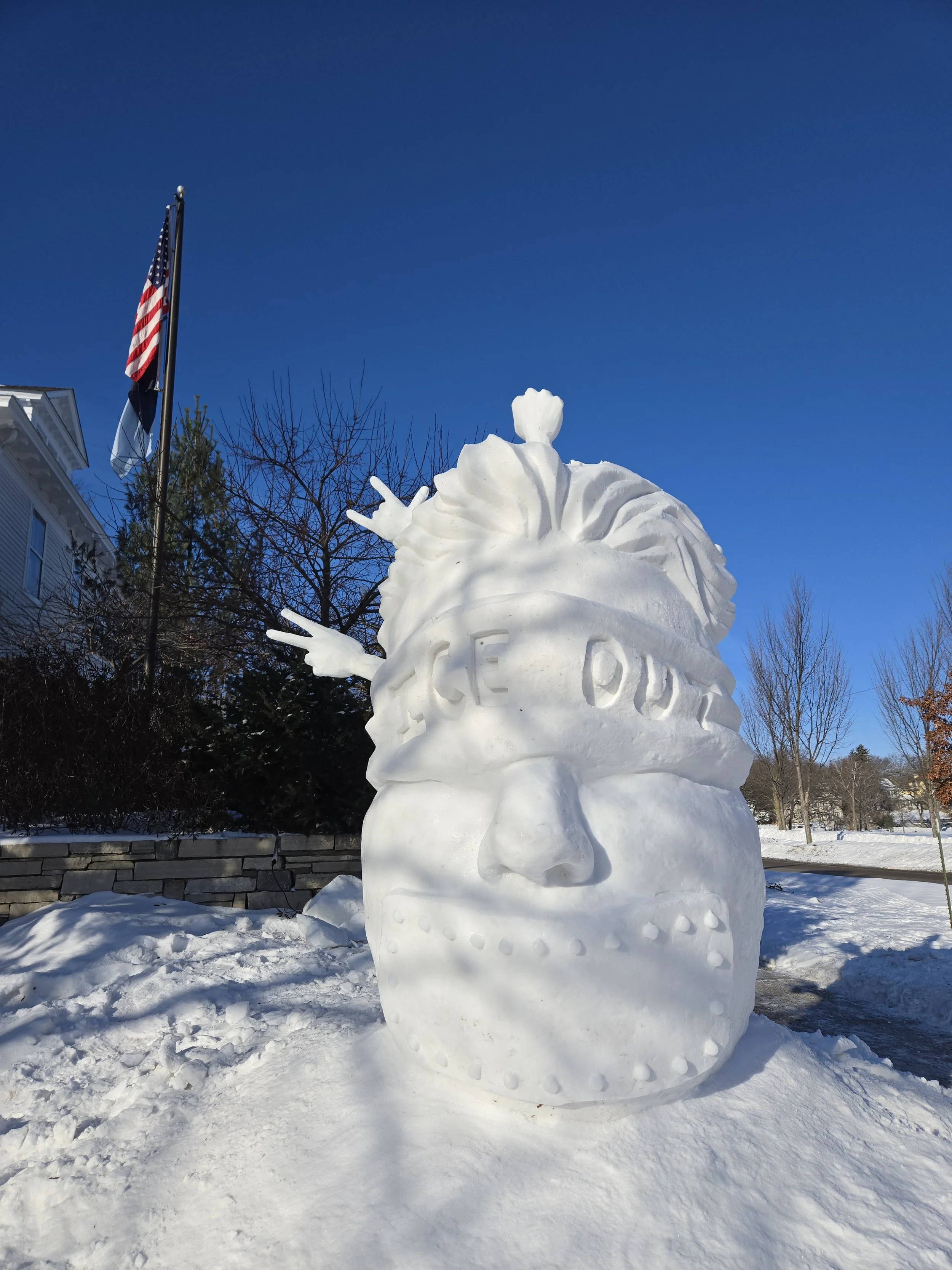 ICE Out for Good- Face