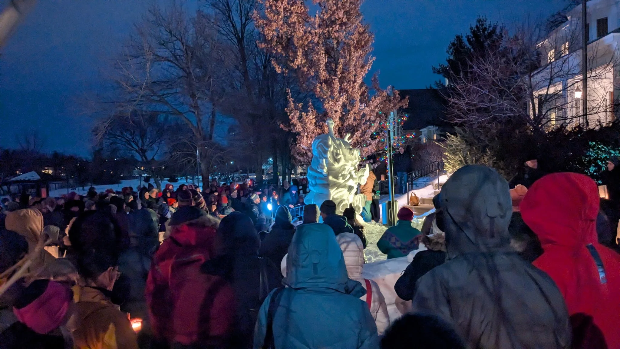 IMG_20260208_090451 (1).jpg