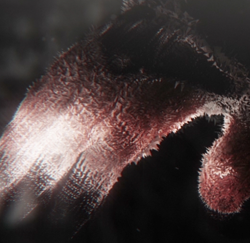 b0dc586c3b5f166761a3344c60c975e4.png