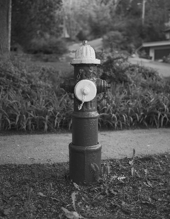 FirehydrantYES127.jpg