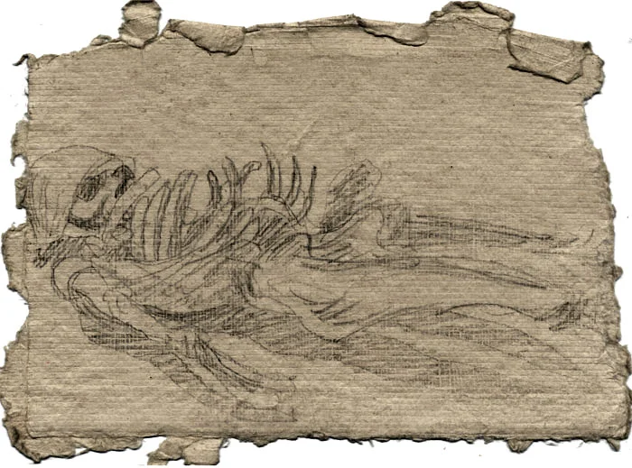 istanbul-skeleton.jpg